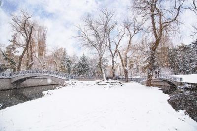 Прикрепленное изображение: IMG_7550.jpg